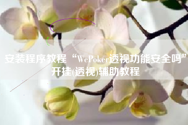 安装程序教程“WePoker透视功能安全吗”开挂(透视)辅助教程