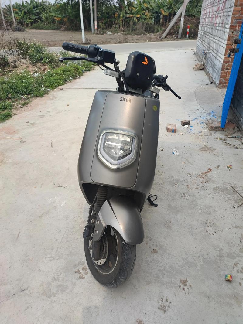 雅迪所有型号图片大全 雅迪所有型号图片大全 查询